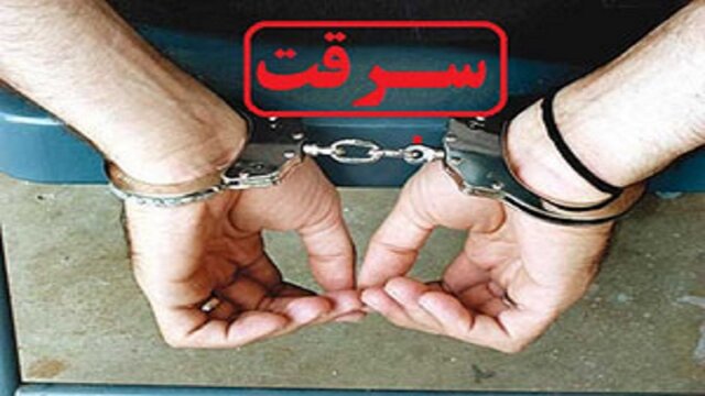 مرگ سارق با شلیک صاحب خانه