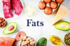 حیاتی بودن چربی برای سوخت و ساز بدن