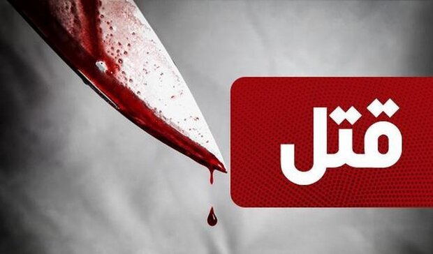 قتل در بزم شبانه