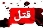 پرونده قتل شوهر با متادون به دادگاه ارسال شد