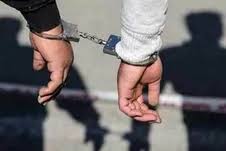 دستگیری سارقان سابقه دار