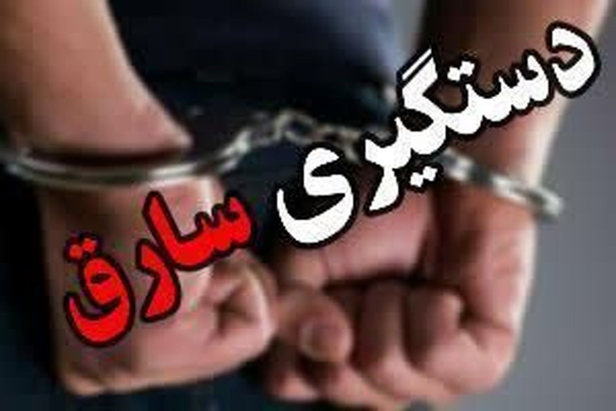 دستگیری ۴ مرد افغان زورگیر