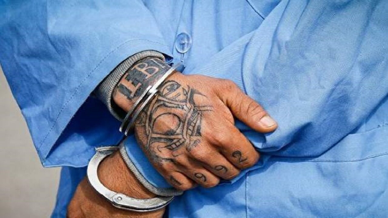 پزشک قلابی با سرم بیهوشی وارد خانهها میشد؛ سرقت دلار، طلا و سکه از قربانیان