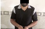 گوشیقاپها زیر پوشش جعل پلاک؛ مالخر حرفهای در پشت پرده سرقتها