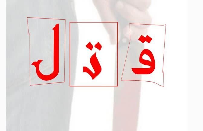 پایان خونین یک عصبانیت؛ مرگ راننده ۶۴ ساله