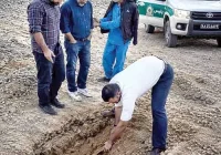 ۶ ماه زیر خاک؛ راز رفیق کشی فاش شد
